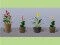 JTT 95572 Flower Potted Plant Assortment 4 - O Scale