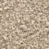 Woodland Scenics B1373 Fine Ballast Shaker Buff -Lionel Shop image WOOB1373lg