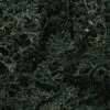 Woodland Scenics L164 Lichen Dark Green