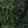 Woodland Scenics L168 Lichen Dark Green Mix 3Qt -Lionel Shop image WOOL168lg