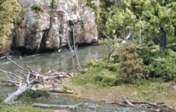 Woodland Scenics 30 Dead Fall